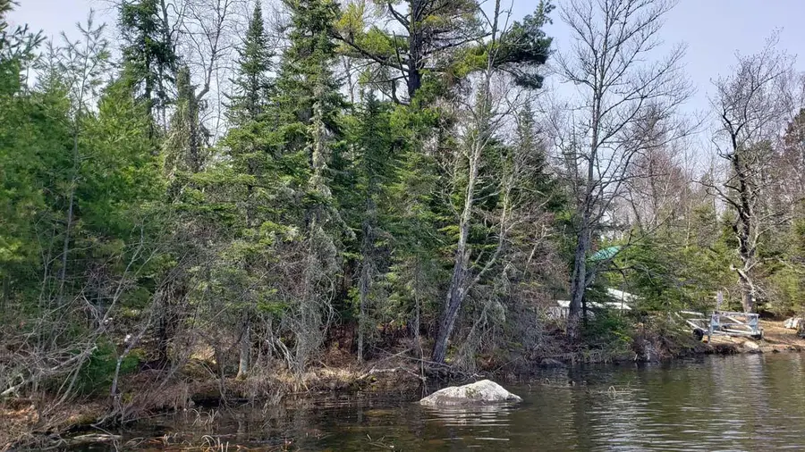 TBD Muskego Point, Cook, MN 55723 - Image #3