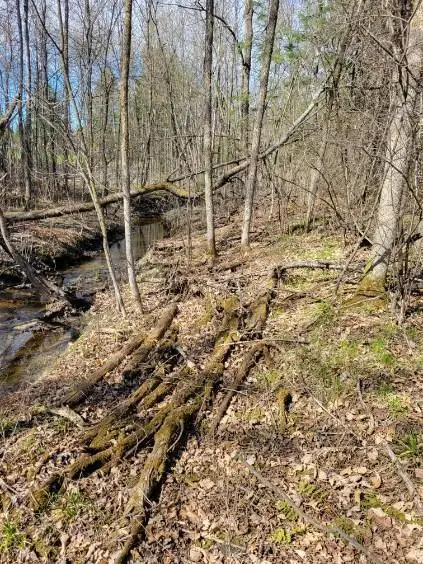 TBD 695th Avenue, Roosevelt, MN 56673 - #3