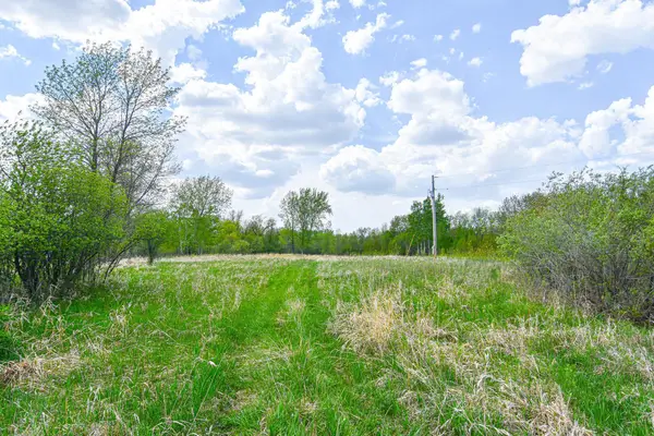 TBD 150th Ave Ne, Thief River Falls, MN 56701