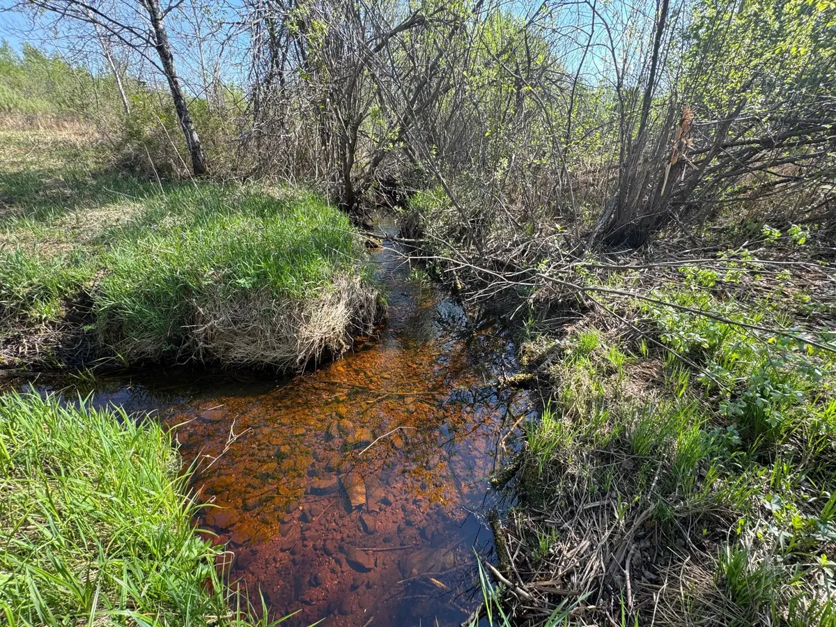 TBD Skog Road, Kettle River, MN 55757 - #1