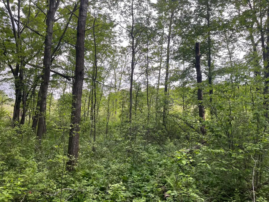 xxx Crust Road, Brainerd, MN 56401 - Image #3