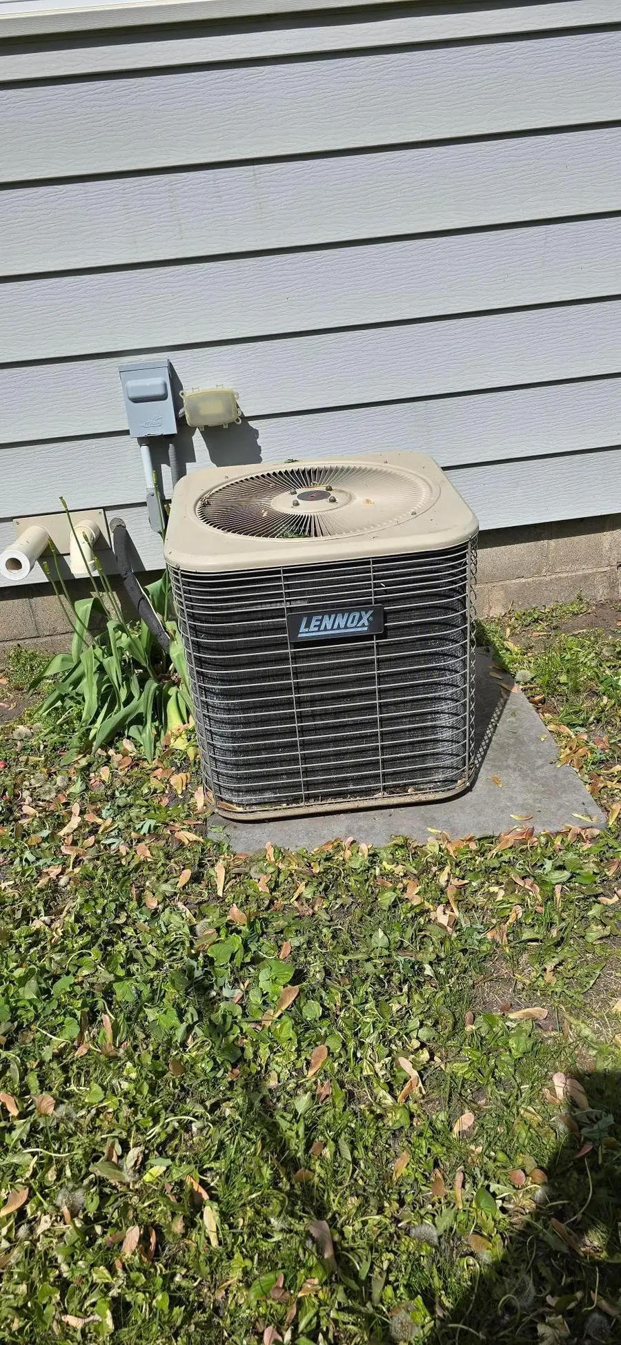 114 N 6th Avenue, Albert Lea, MN 56007 - Image #3