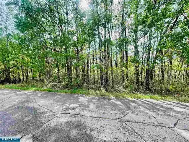 TBD 3rd St Leetonia, Hibbing, MN 55746 - #3