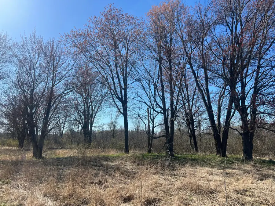 TBD County Road 19, Kettle River, MN 55757 - Image #3