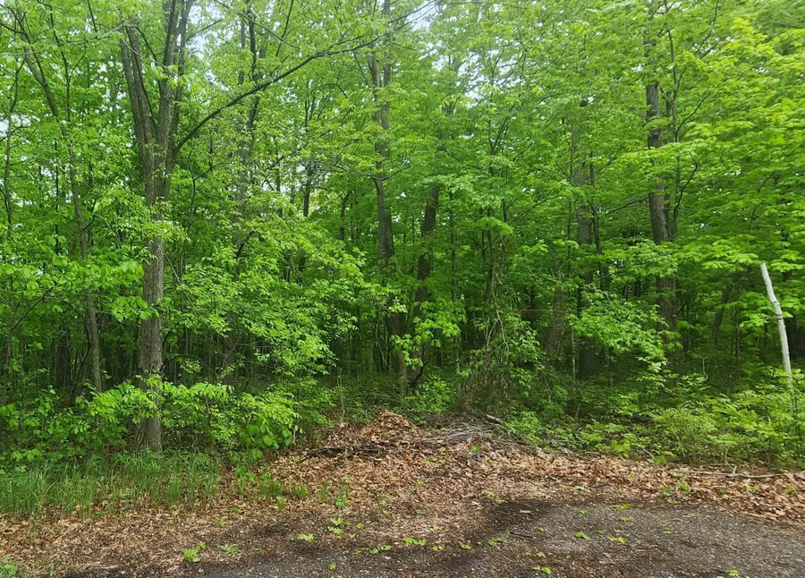 XXXXX Journeys End, Garrison, MN 56450 - Image #2