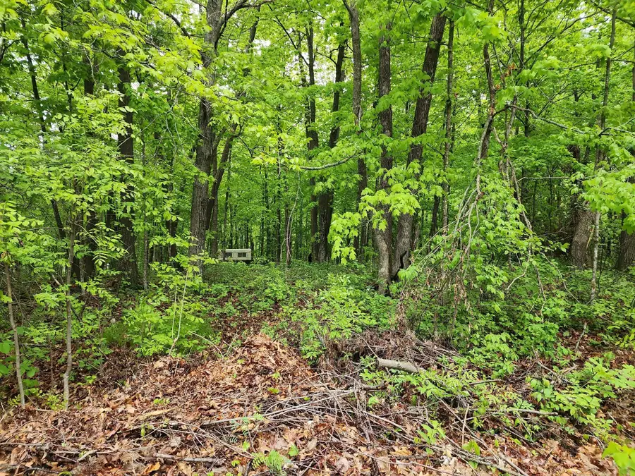 XXXXX Journeys End, Garrison, MN 56450 - Image #3