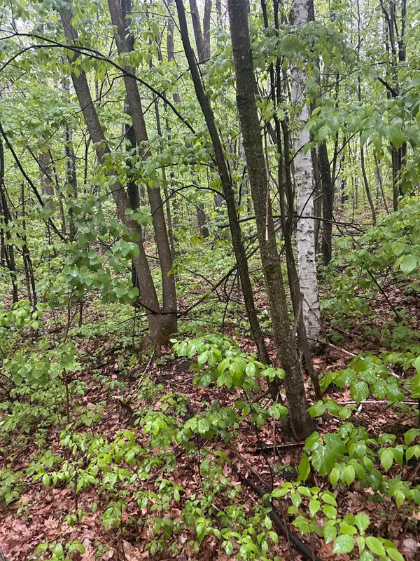 TBD Flintstone, Cushing, MN 56443