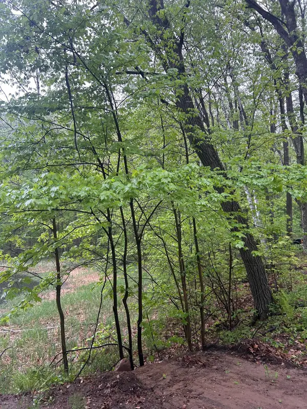 TBD Powder Horn, Cushing, MN 56443