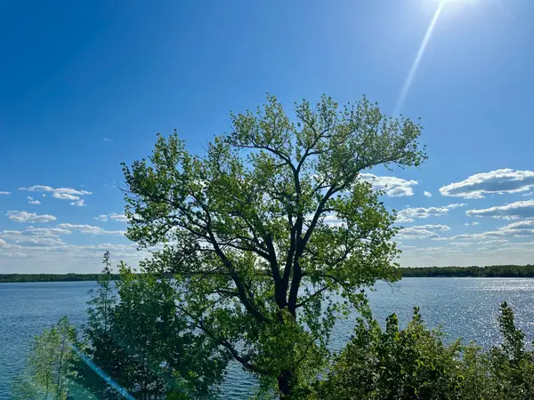 1763 Cadbary Lane Se, Cass Lake, MN 56633