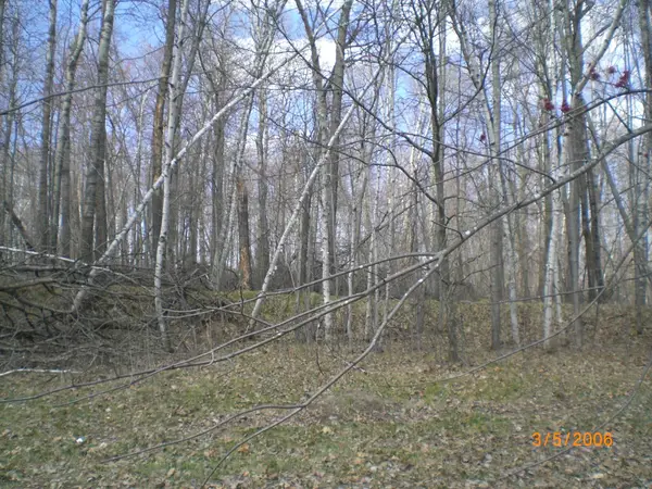 Lot 211 Catskill Circle, Breezy Point, MN 56472
