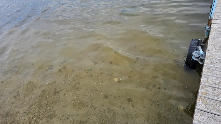 41955 Sugar Maple Drive, Ottertail, MN 56571 - Image #2