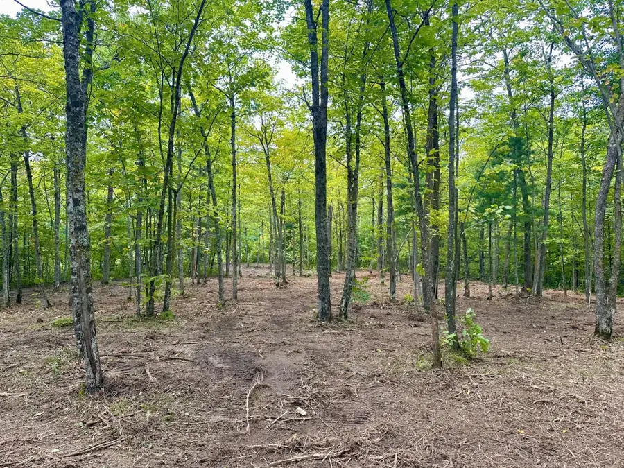 TBD County Road 157 Ne, Remer, MN 56672 - Image #2