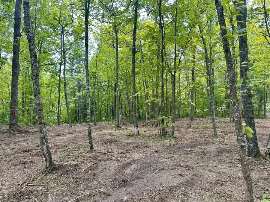 TBD County Road 157 Ne, Remer, MN 56672 - Image #3