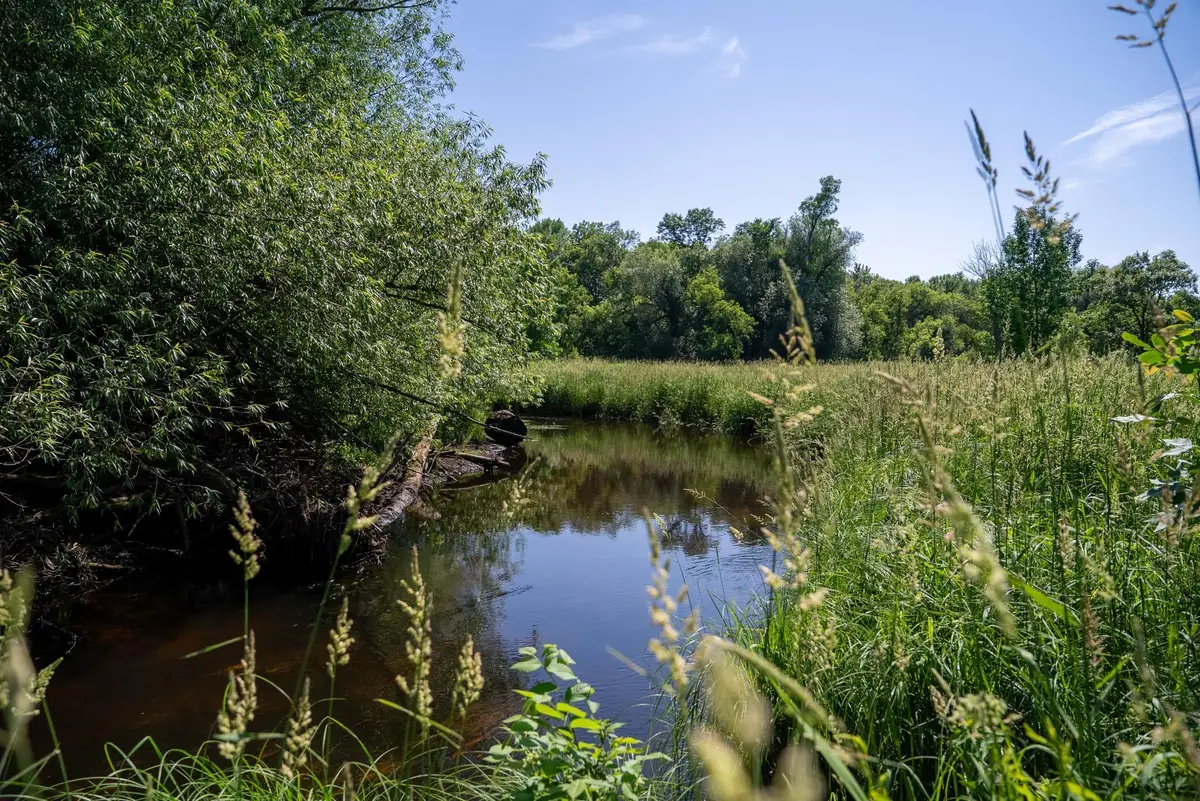 TBD 6th Street, Randall, MN 56475 - Image #1