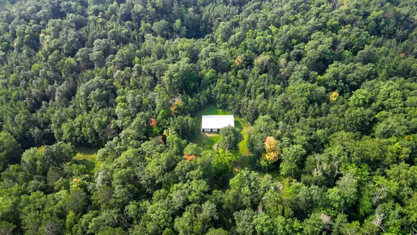 TBD Co Hwy 39, Osage, MN 56570