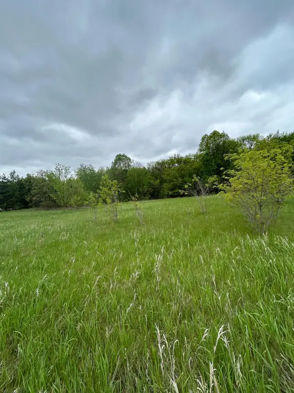 XXX Calico Trail, Motley, MN 56466