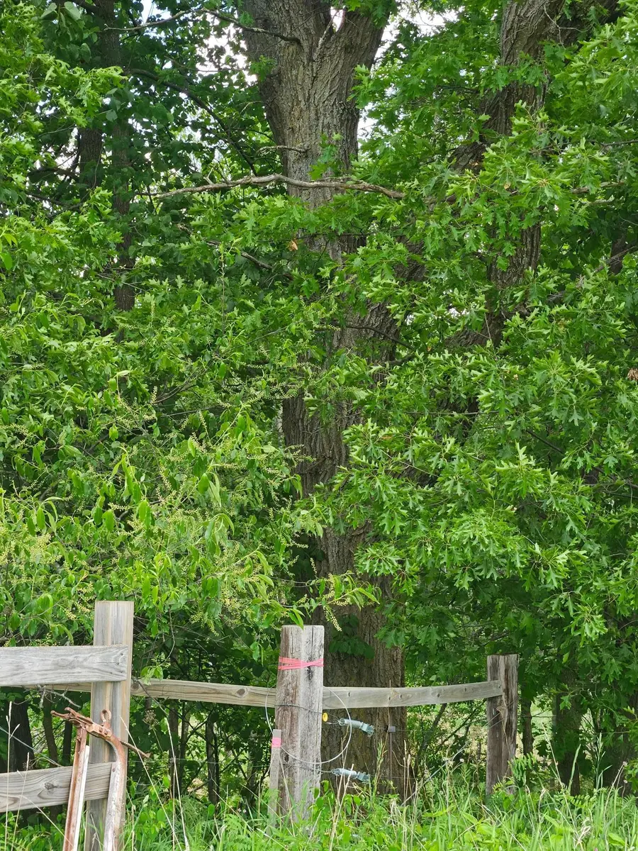 Parcel E Rogue Way, Ironton, MN 56455 - Image #2