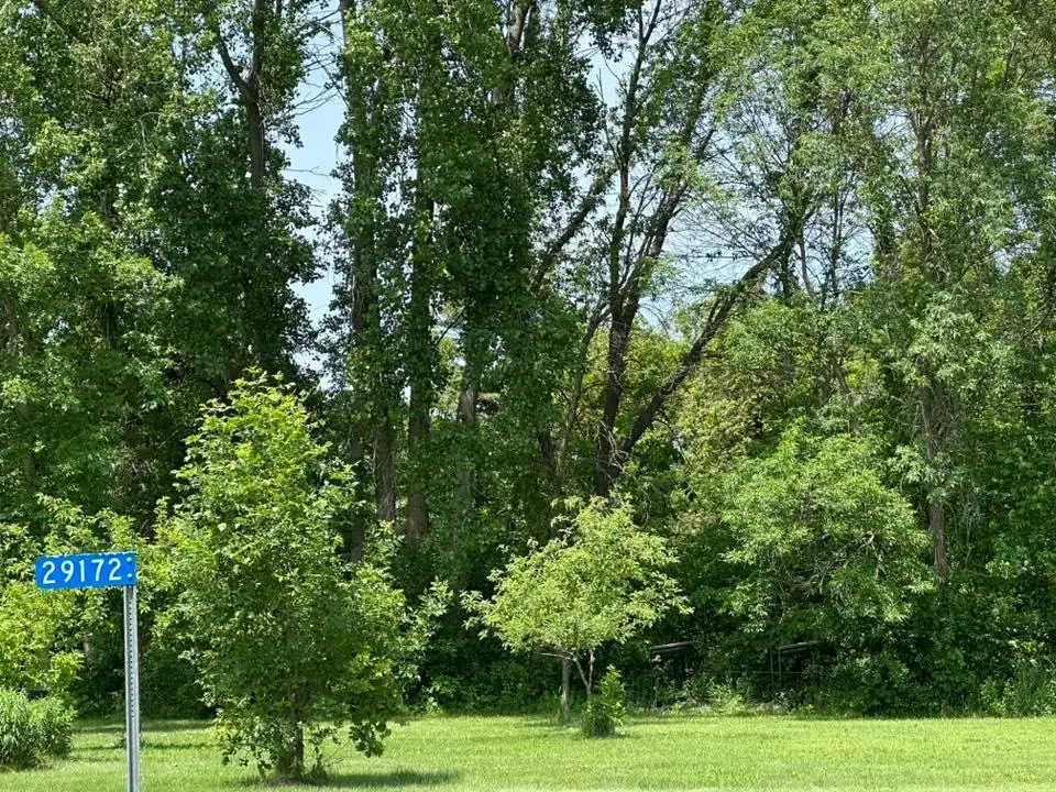 29172 Biehn Drive, Madison Lake, MN 56063 - #1