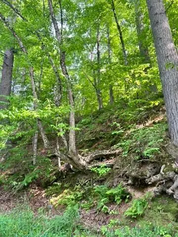 28xxx 89th Avenue, Boyd, WI 54726 - #3