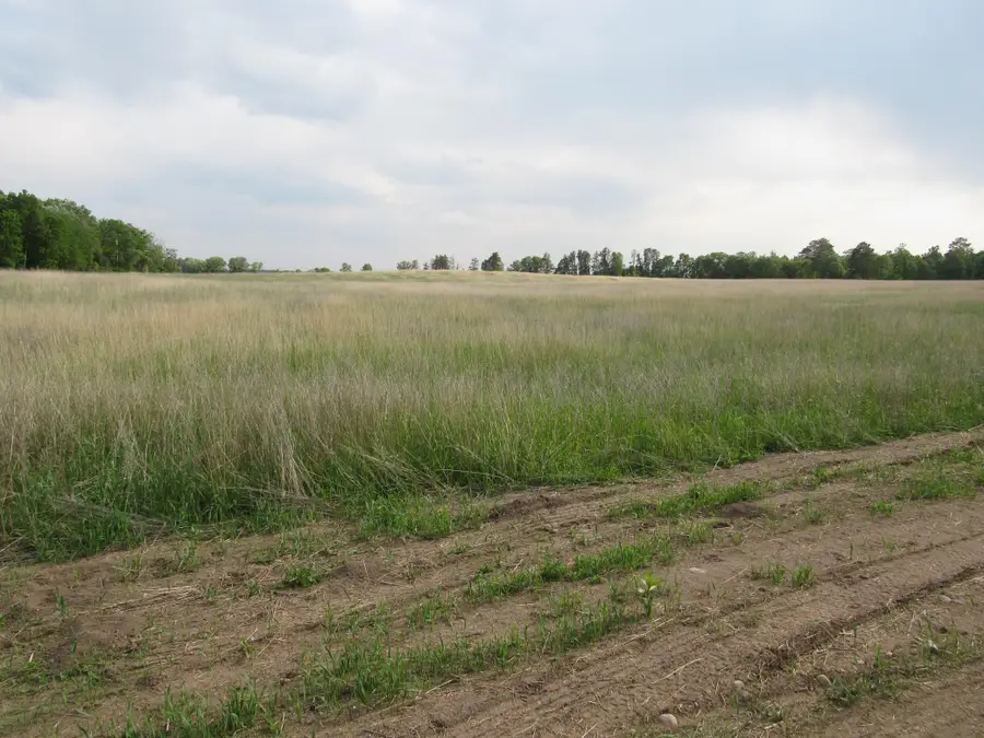 TBD 12th Parcel 9 Sw, Backus, MN 56435 - #2