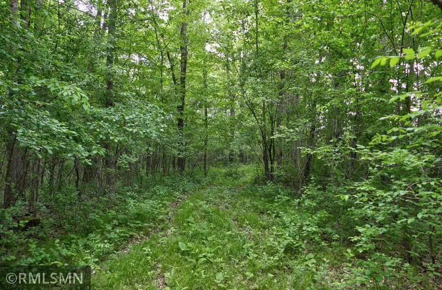 655 115th Street, Amery, WI 54001 - Image #3