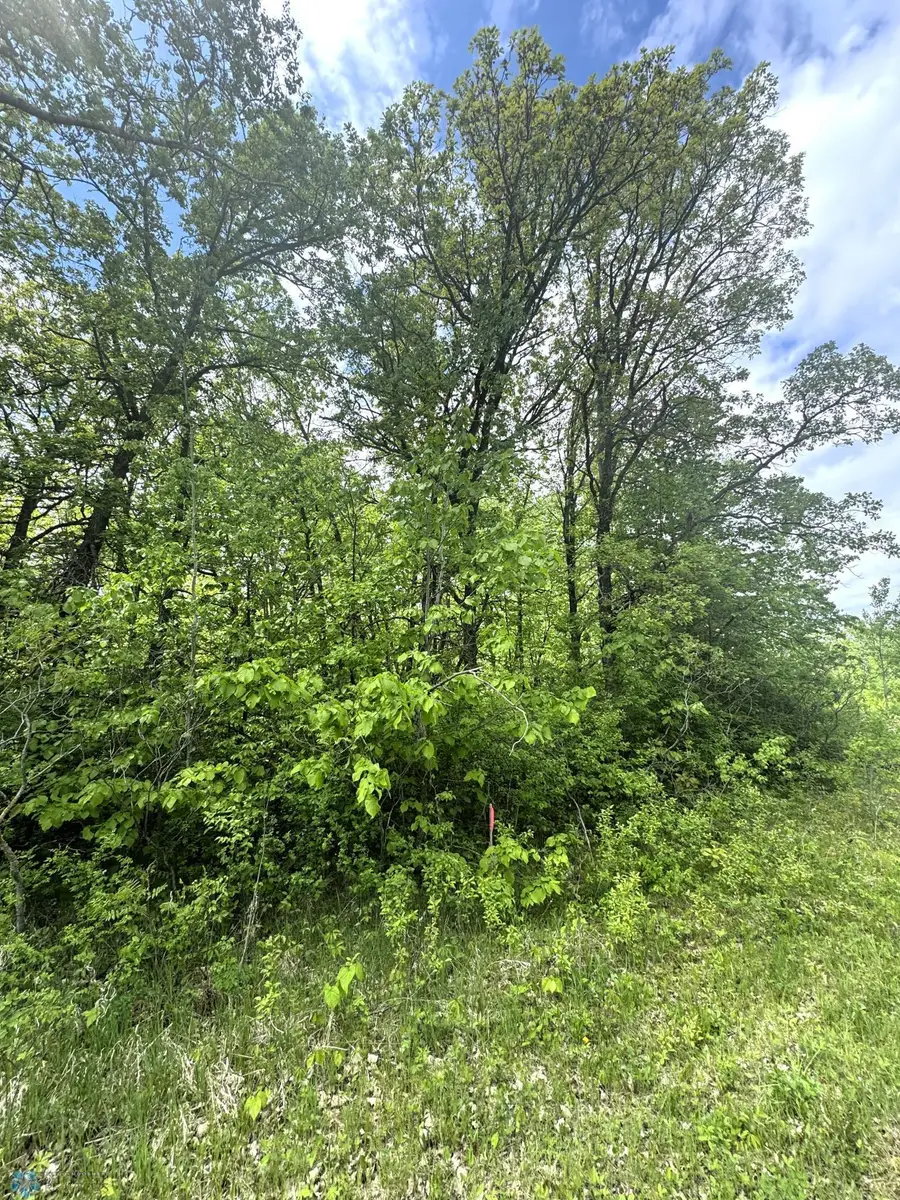 (Lot 5) TBD County Rd 4, Waubun, MN 56589 - Image #3