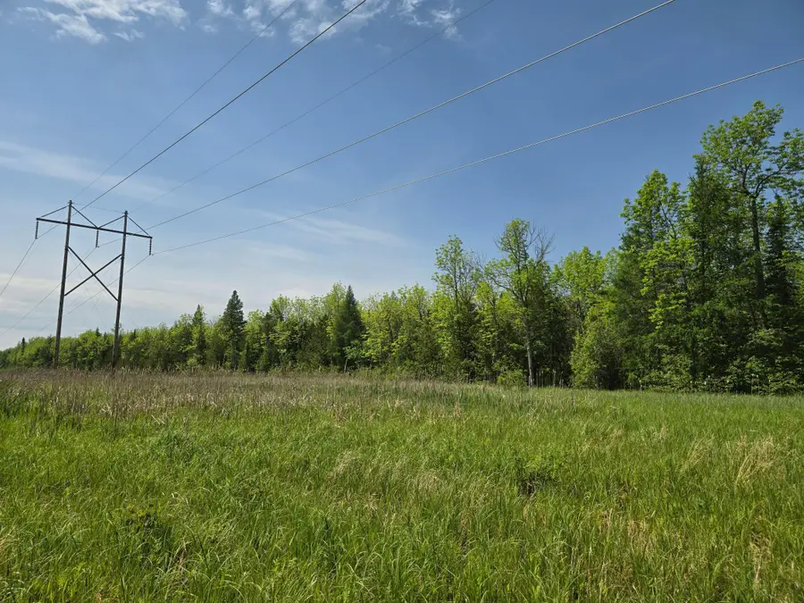 TBD Town Road 166, Littlefork, MN 56653 - #2