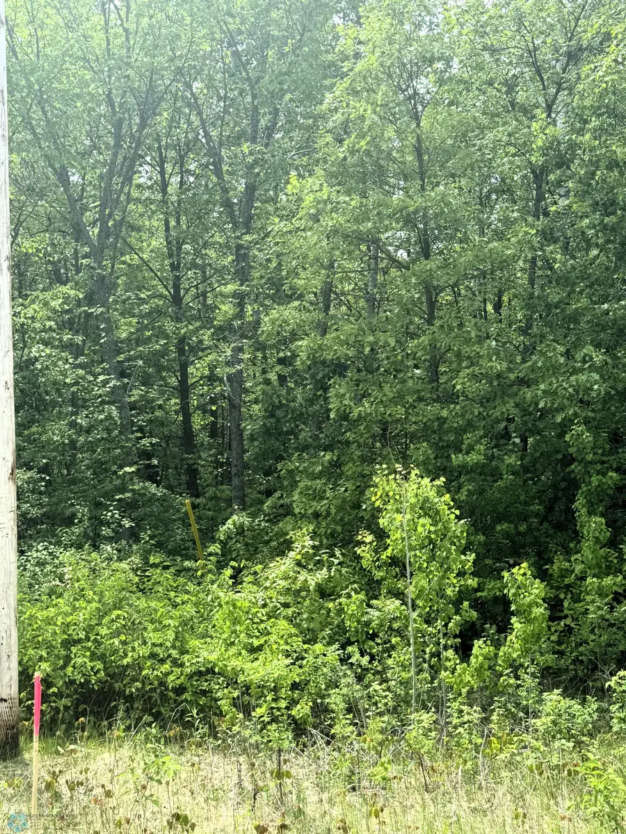 (Lot 8) TBD Ponderosa Lane, Waubun, MN 56589 - Image #3