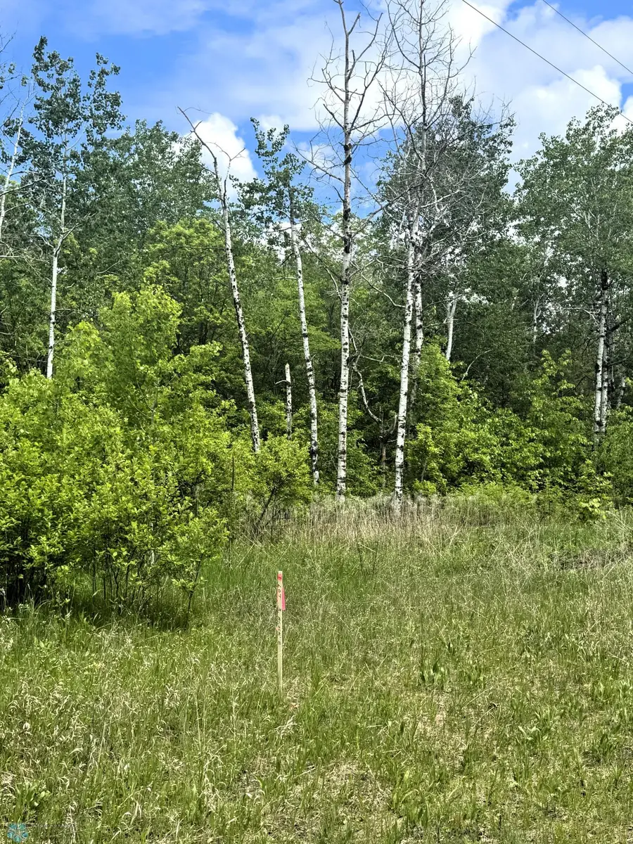 (Lot 3) TBD Ponderosa Lane, Waubun, MN 56589 - Image #3