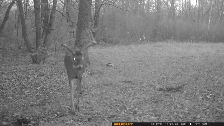 39309 350th Street Se, Fosston, MN 56542 - Image #2