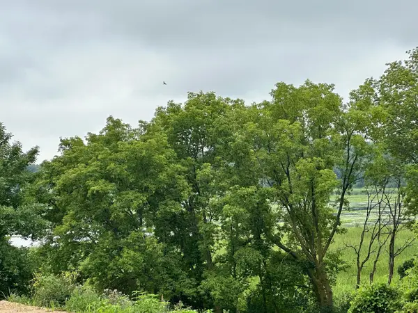 TBD County Road 43, Chaska, MN 55318