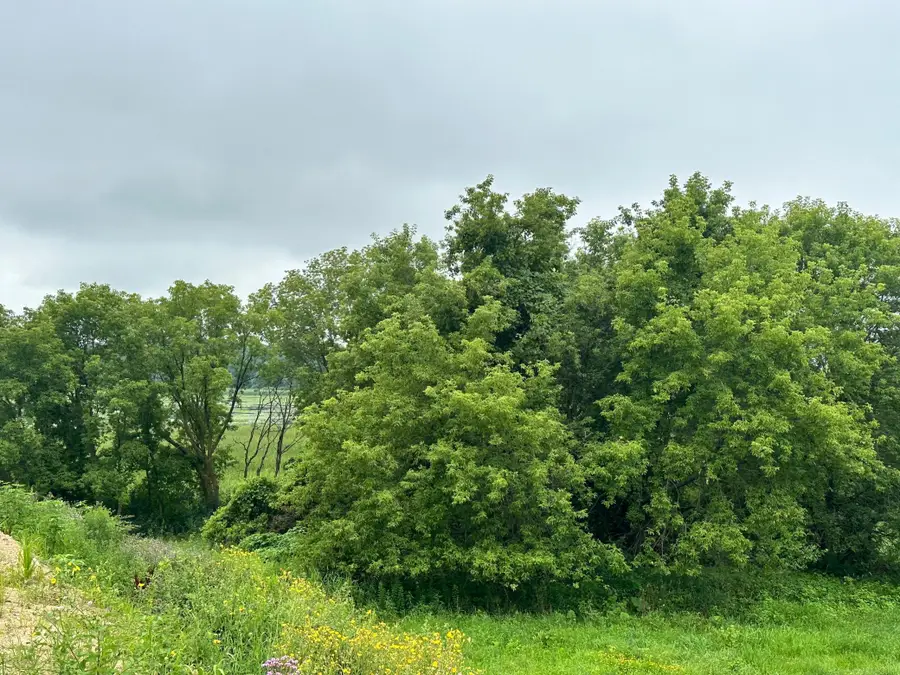 TBD County Road 43, Chaska, MN 55318 - #2