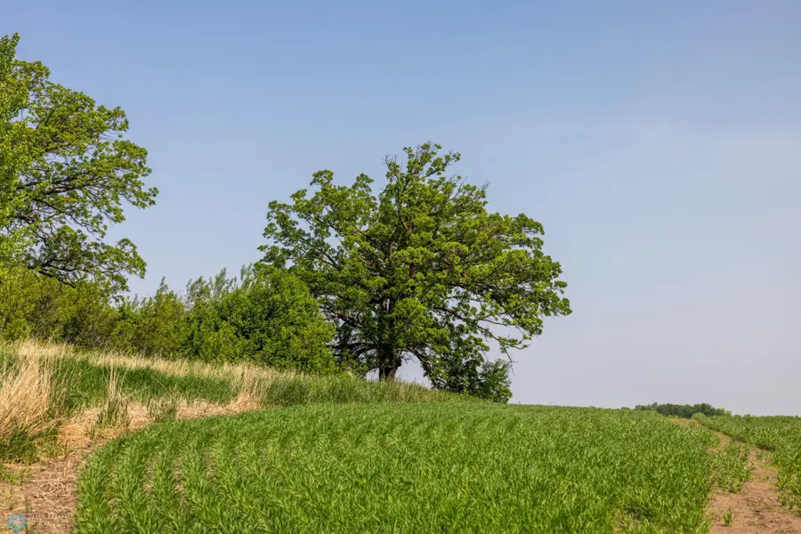 TBD SE 410 Street, Fosston, MN 56542 - Image #2