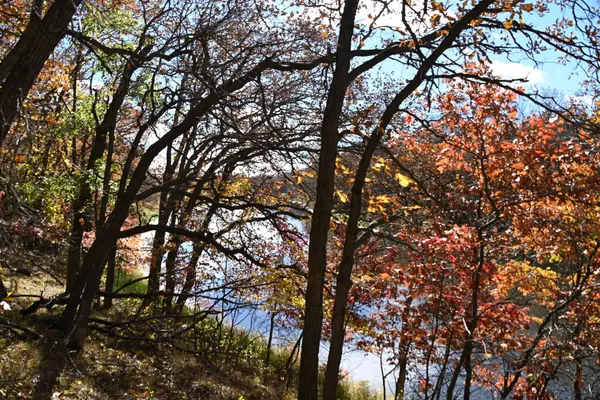 38869 Odin Court, Browerville, MN 56438