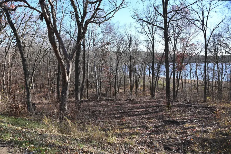 TBD Ottawa Drive, Browerville, MN 56438 - Image #3