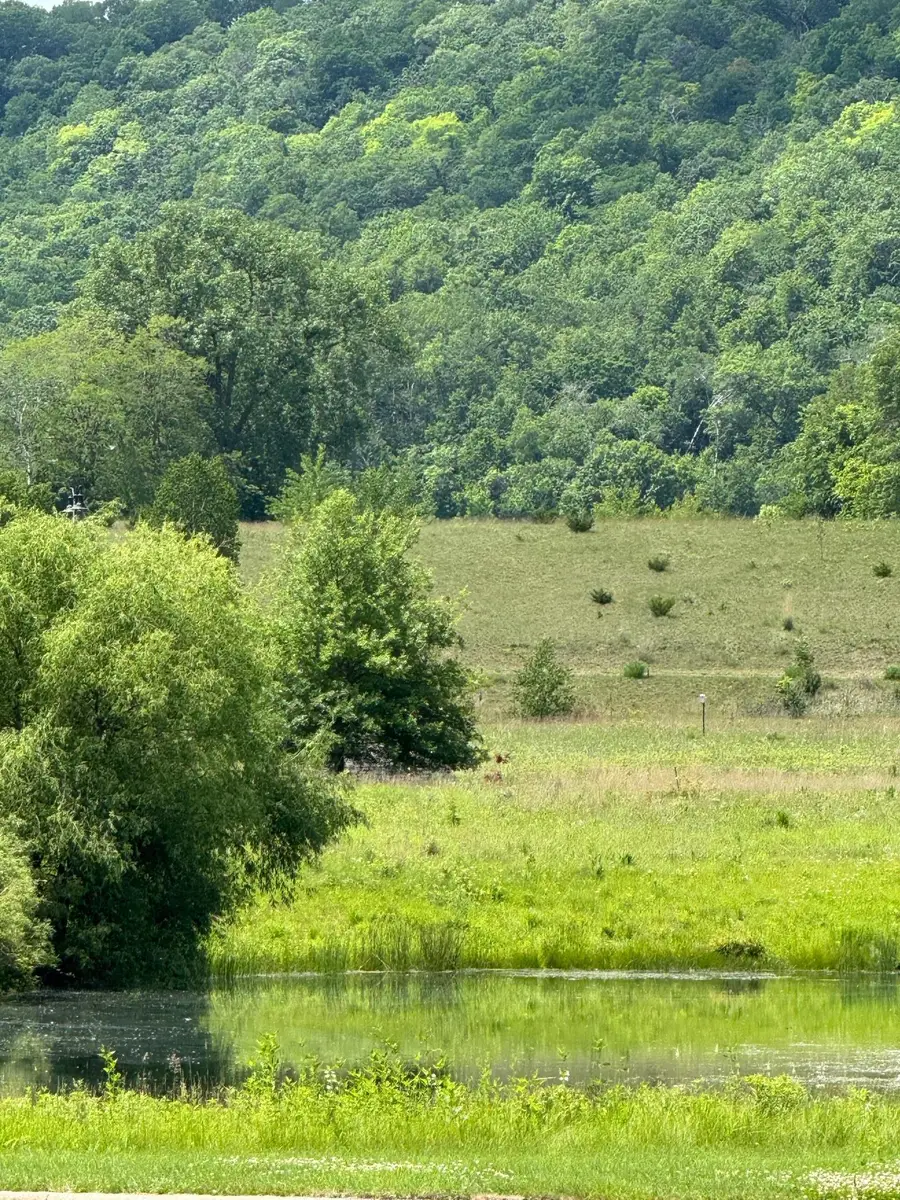 1431 Woodland Way, Lake City, MN 55041 - Image #3