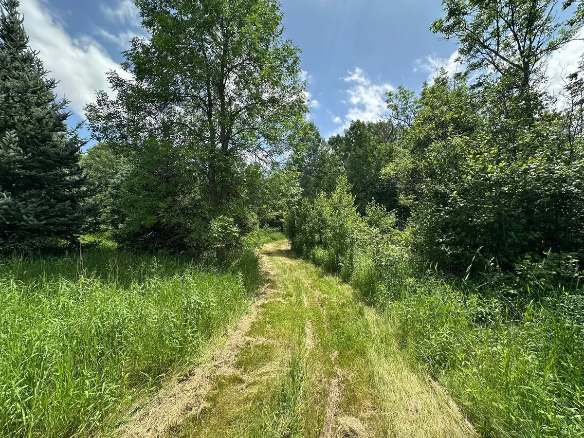 TBD Tamarac Road, South Harbor, MN 56353 - #1