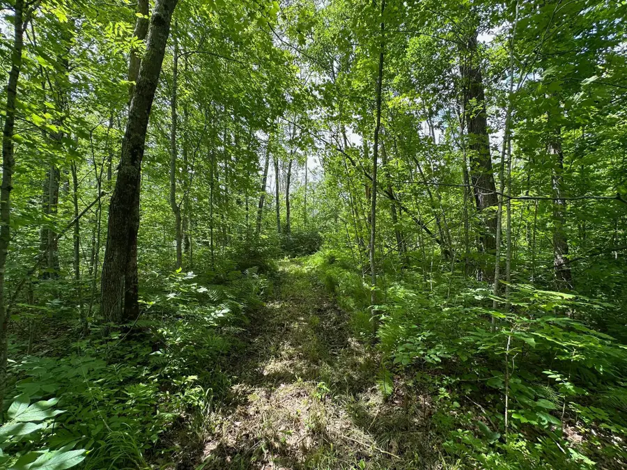 TBD Tamarac Road, South Harbor, MN 56353 - #3