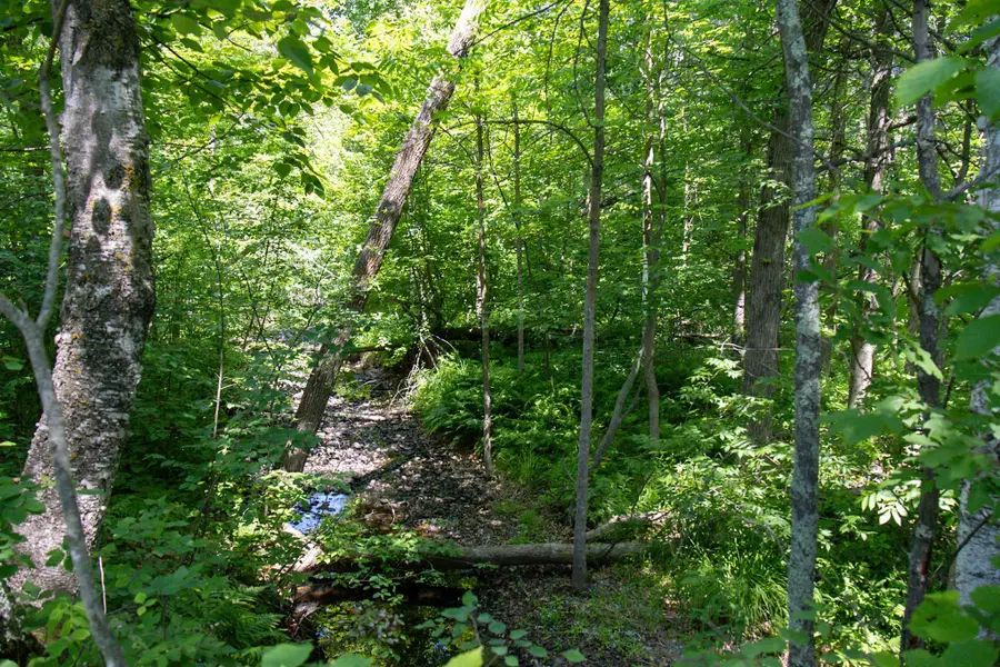 00 N Riverside Road, Moose Lake, MN 55767 - Image #3