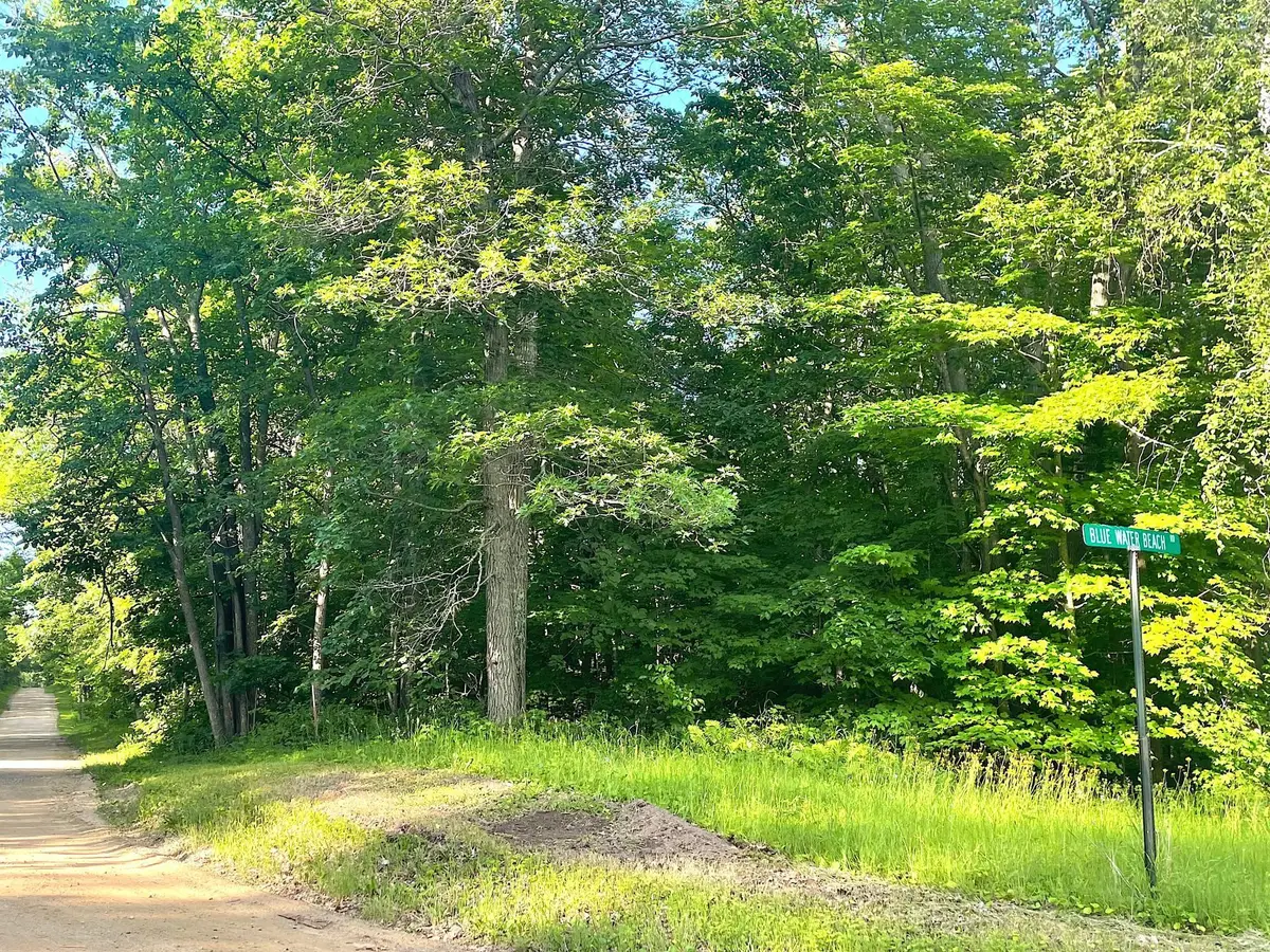 TBD Blue Water Beach Road, Walker, MN 56484 - Image #1