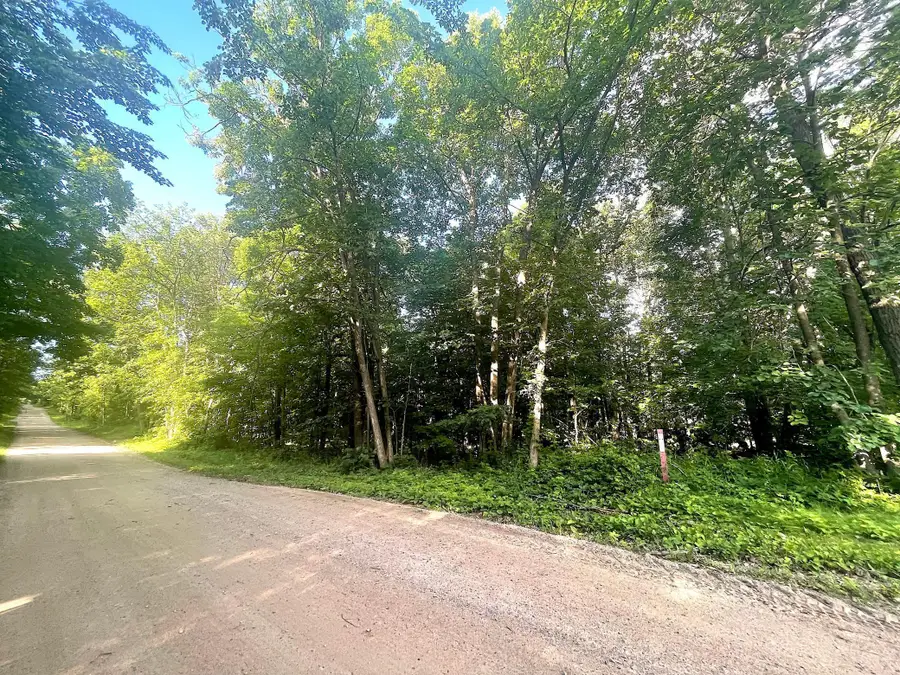TBD Blue Water Beach Road, Walker, MN 56484 - Image #3