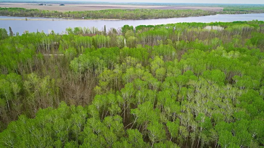 Lot 7 - TBD Driftwood Lane Nw, Baudette, MN 56623 - #3
