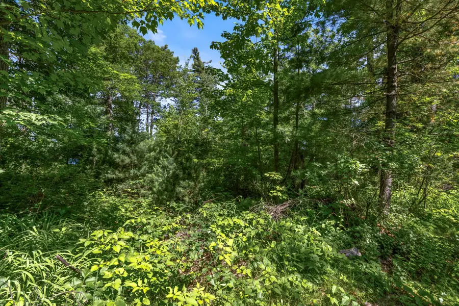 14288W Poplar Lane, Hayward, WI 54843 - Image #3