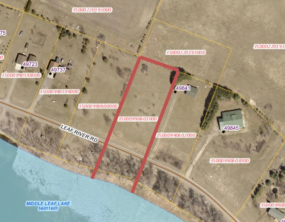 x Leaf River Road, Ottertail, MN 56571 - #1