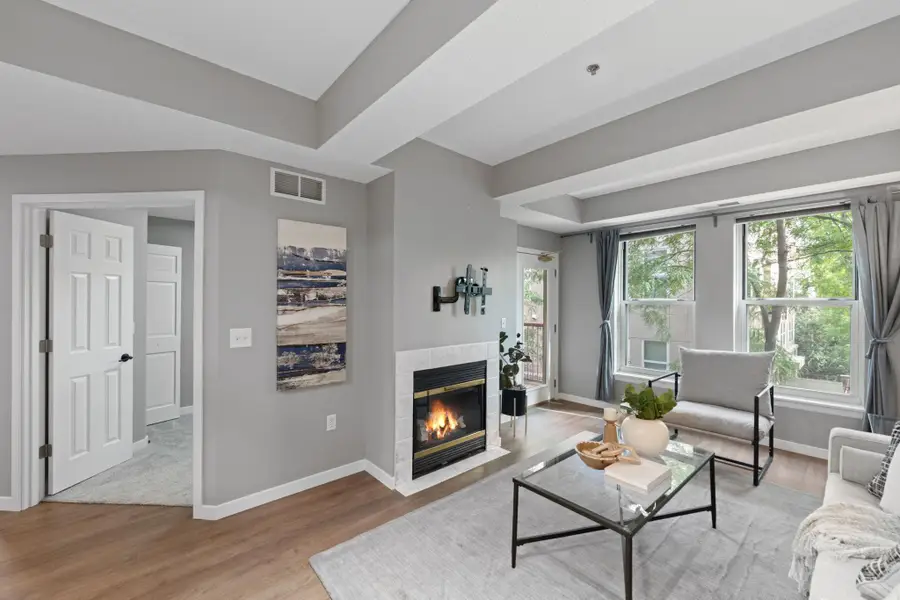 645 N 1st Street #305, Minneapolis, MN 55401 - Image #2