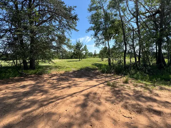 TBD-Lot B Burns Street, Bruno, MN 55712