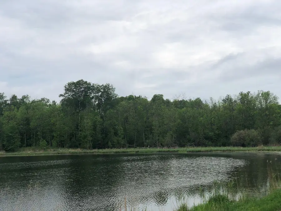 9a Hines Road Ne, Hines, MN 56647 - Image #2