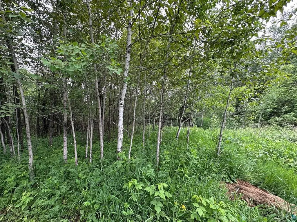 3938 E 5th Street, Superior, WI 54880 - Image #1