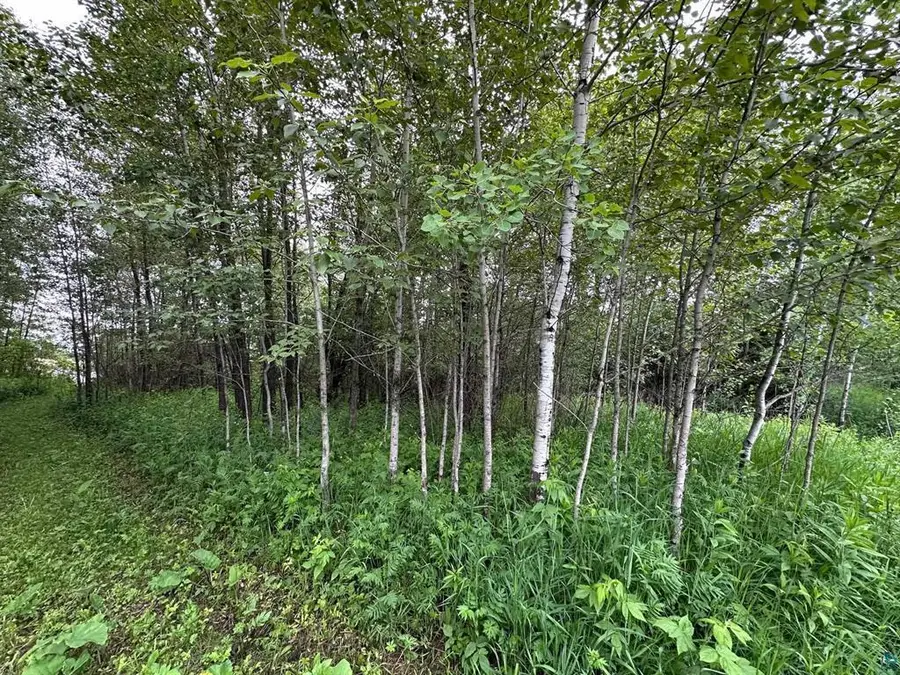 3938 E 5th Street, Superior, WI 54880 - Image #3