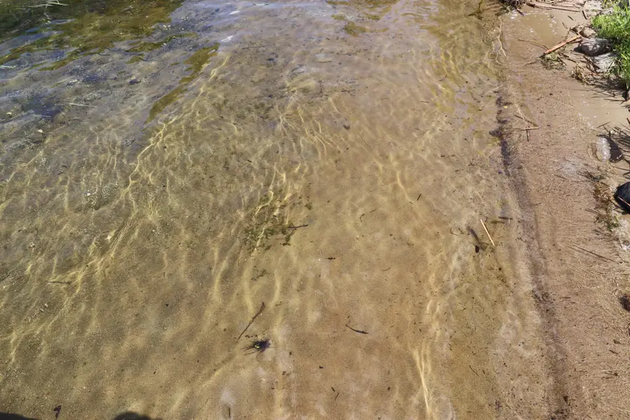 23515 Fish Lake Trail, Pelican Rapids, MN 56572 - Image #3